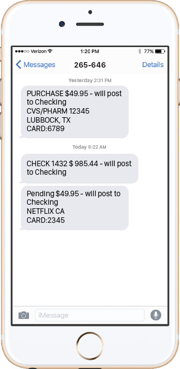 SMS bank alert