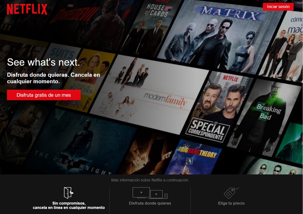 organización de una landing page: Netflix