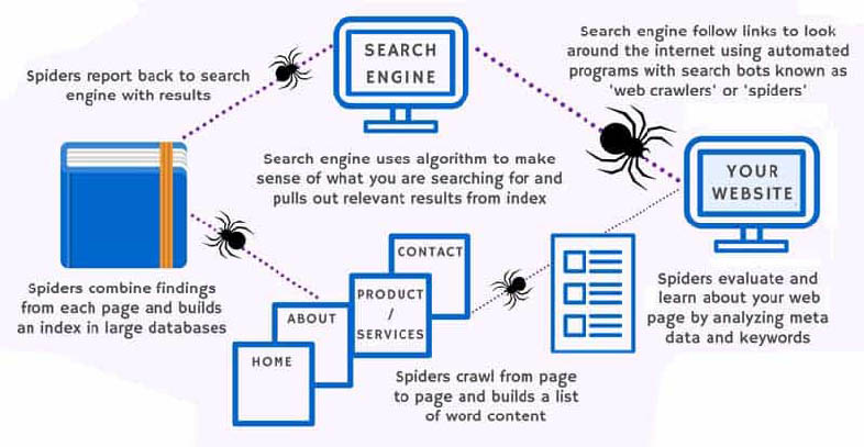 Cómo funcionan las arañas de Google
